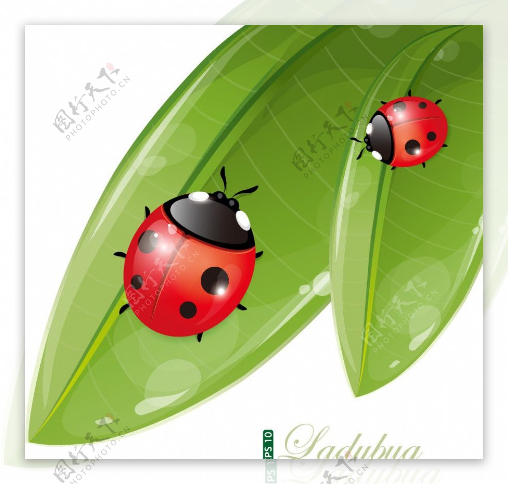 动感绿叶瓢虫绿色环保背景图片