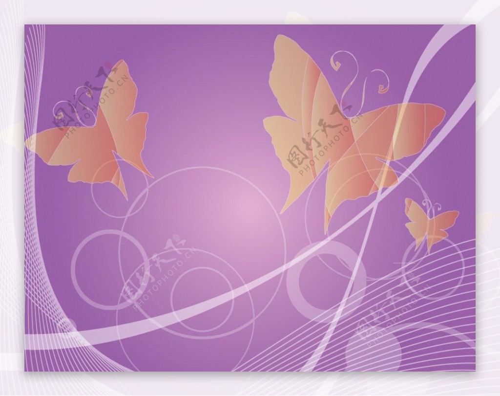 紫色动感线条蝴蝶图片