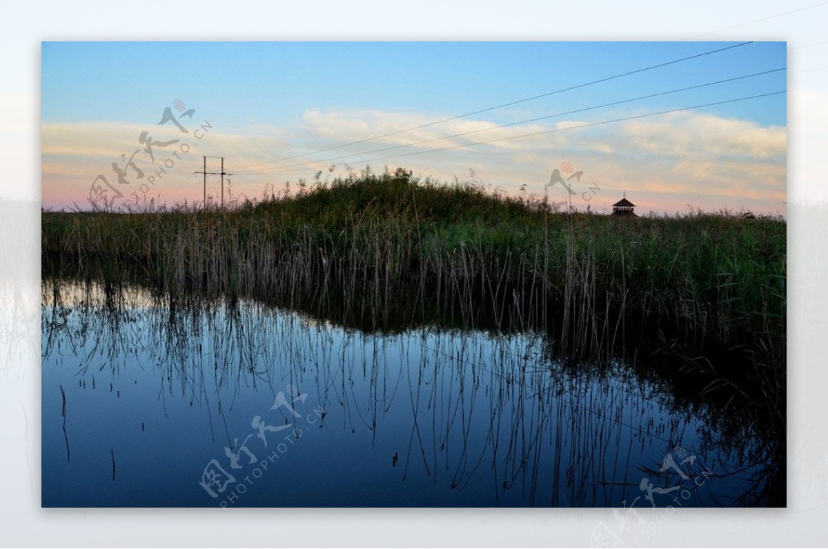 湿地公园一景图片