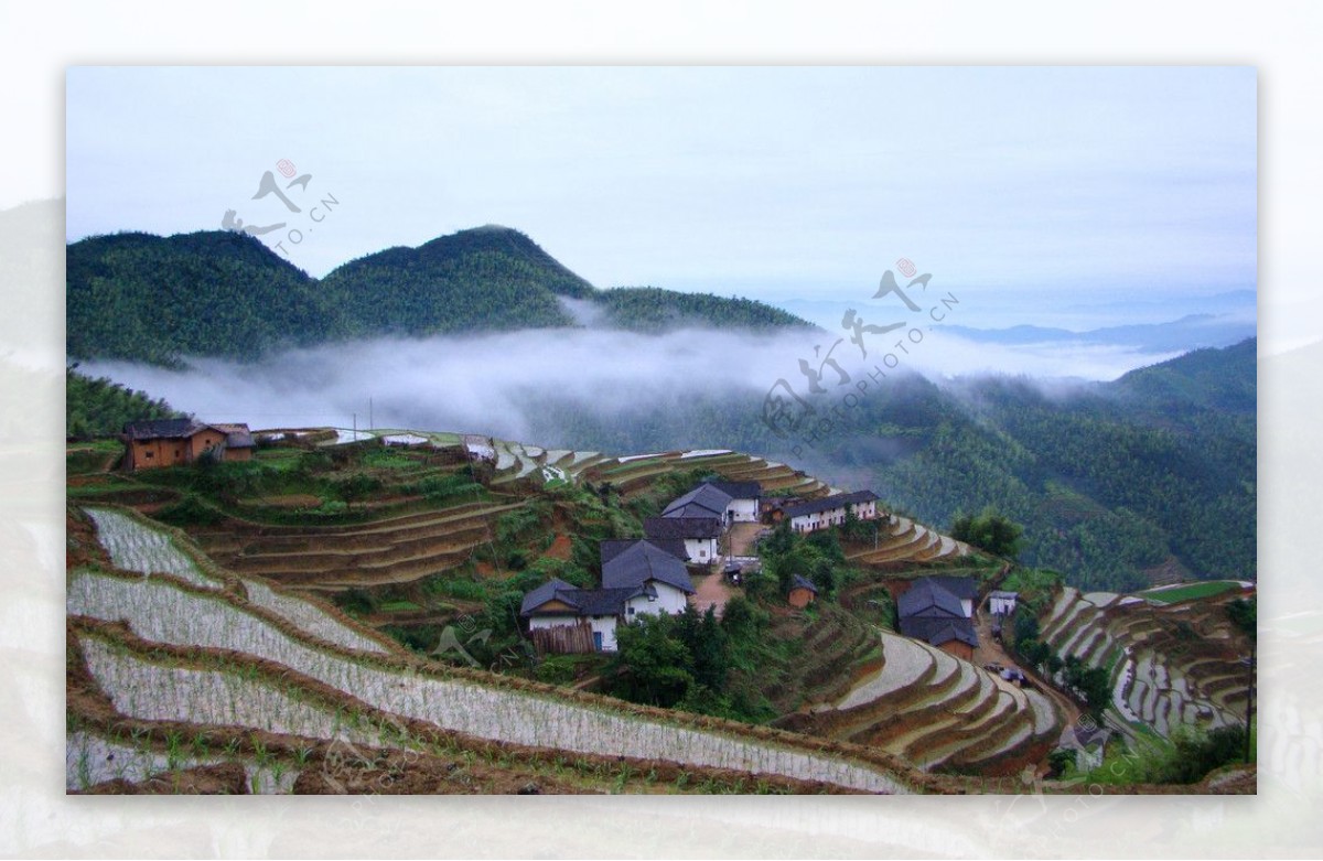 雨雾中的堡上梯田图片