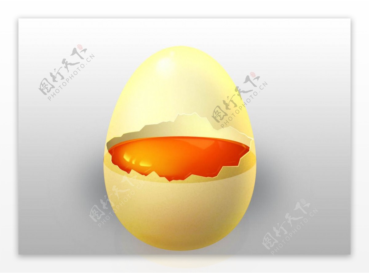 鸡蛋鸡蛋黄鸡蛋清图片