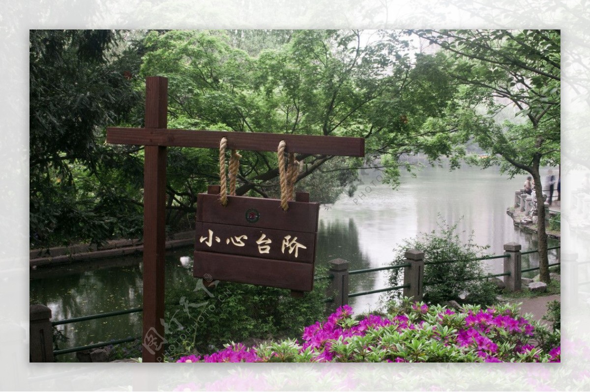 上海鲁迅公园湖景图片