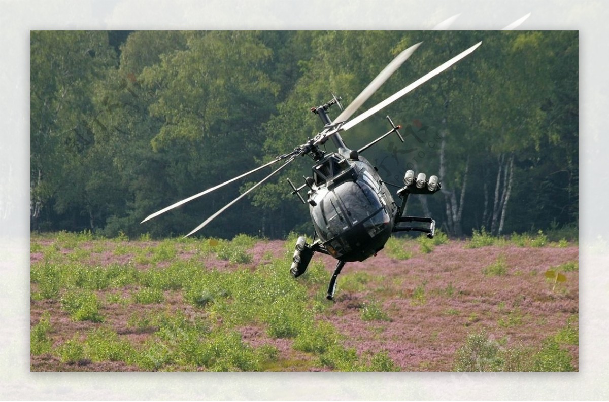 bo105直升机图片