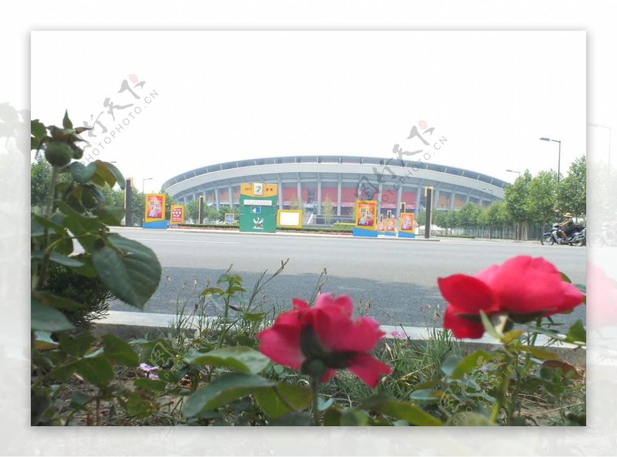山东淄博体育中心外貌图片