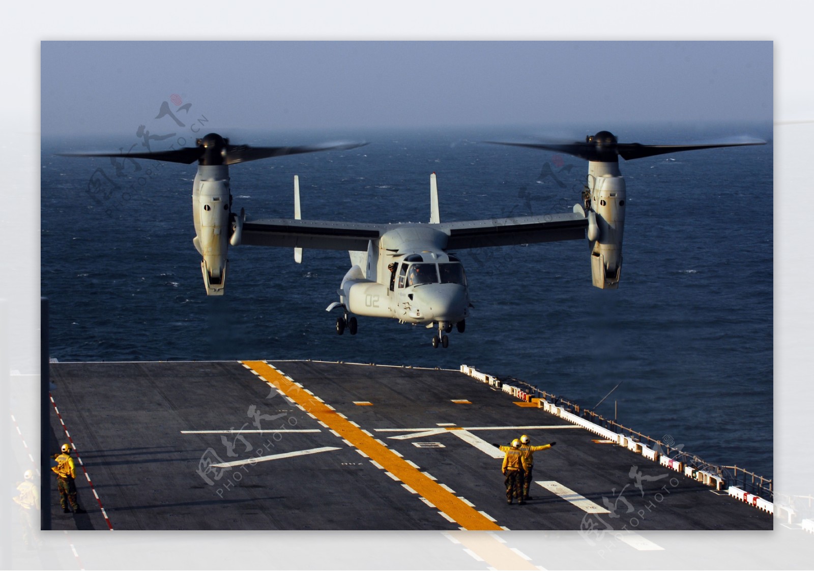 美军海军鱼叉飞机图片
