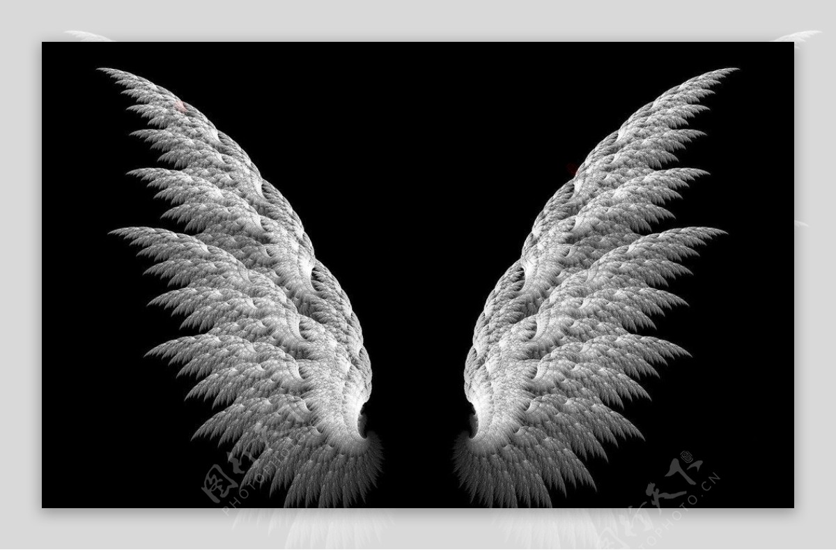 天使之翼图片