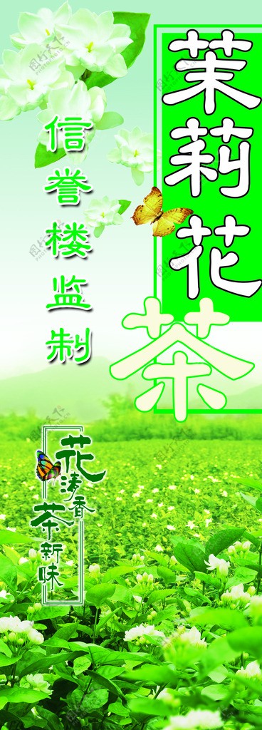 茉莉花茶图片