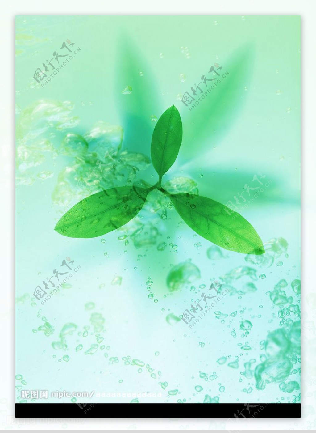 绿色天空水生态图片