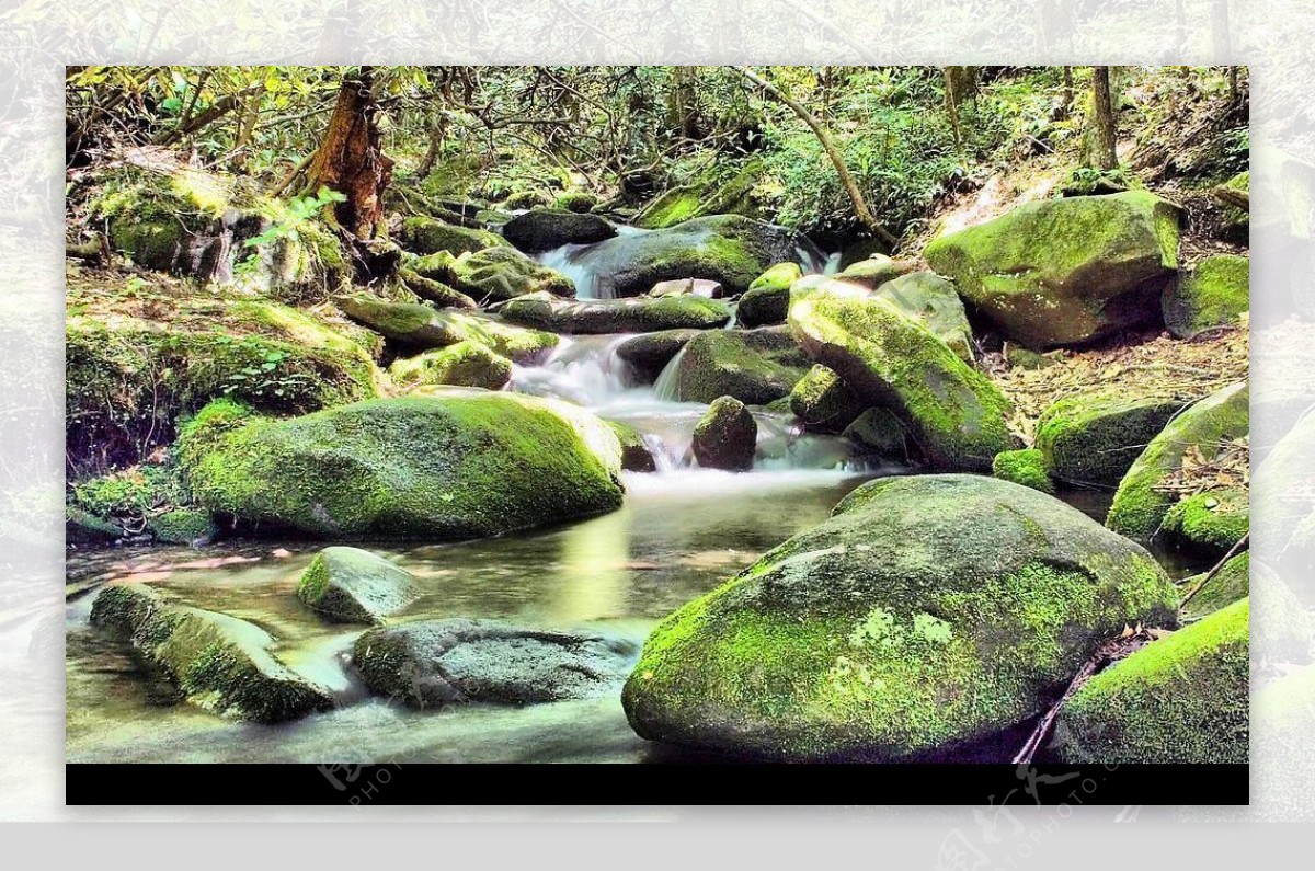 石涧绿溪图片