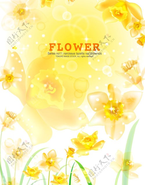 花卉矢量背景素材图片