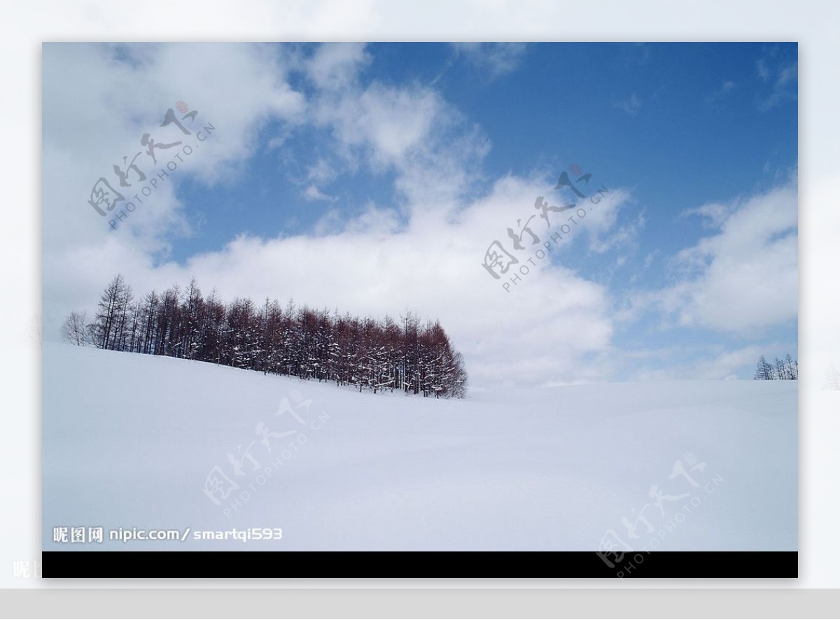 北海道冬景图片