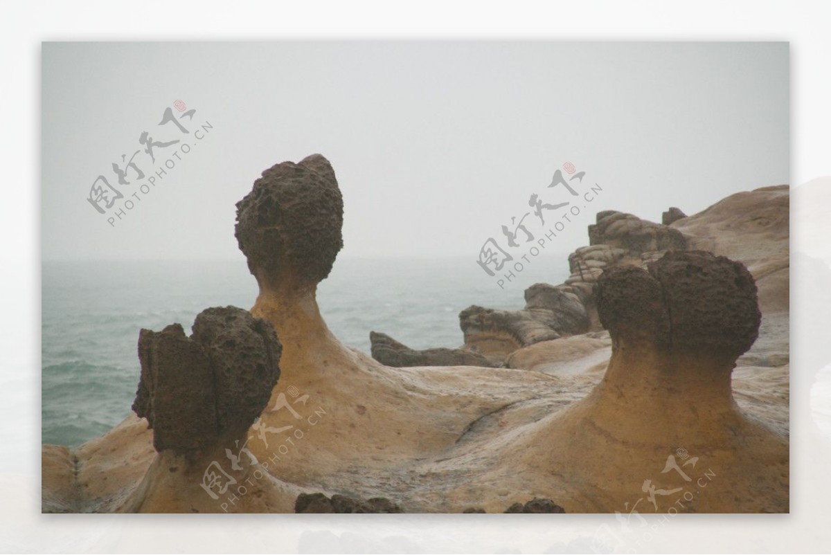 台湾野柳地址公园岩礁图片