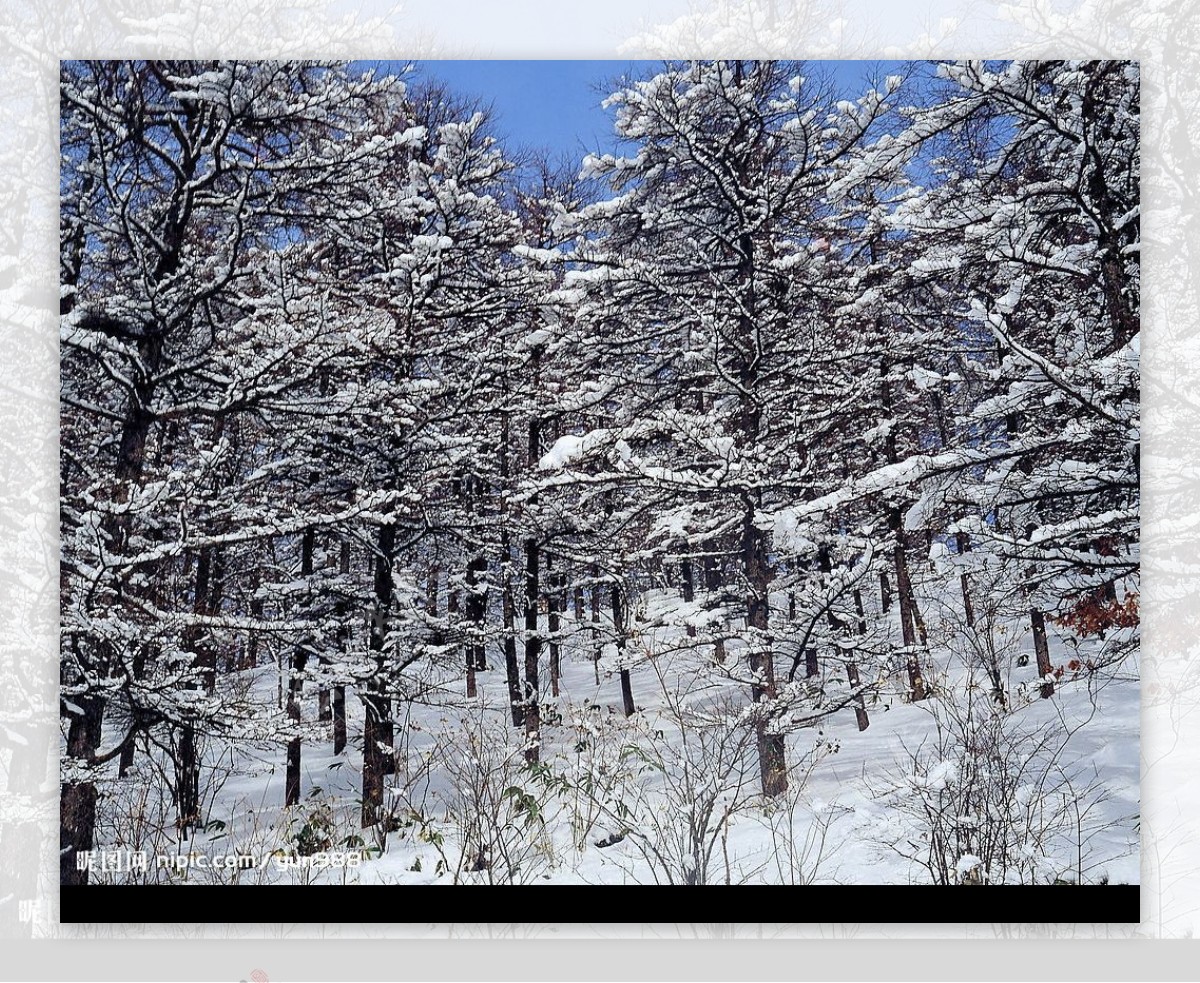 精品底纹素材冬天雪景图片