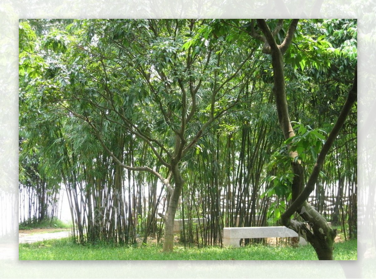 松山湖石凳图片