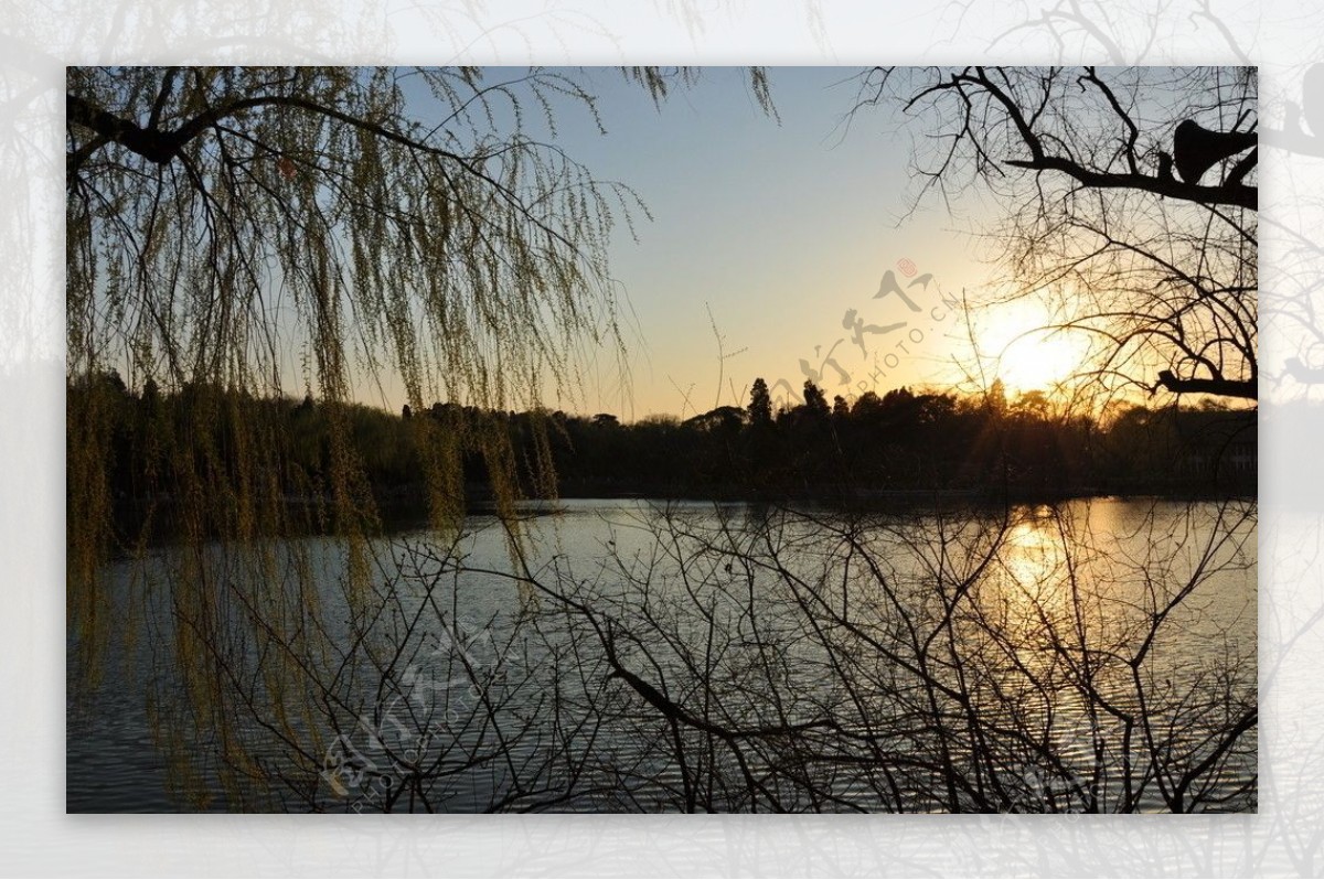 日落的未名湖畔图片