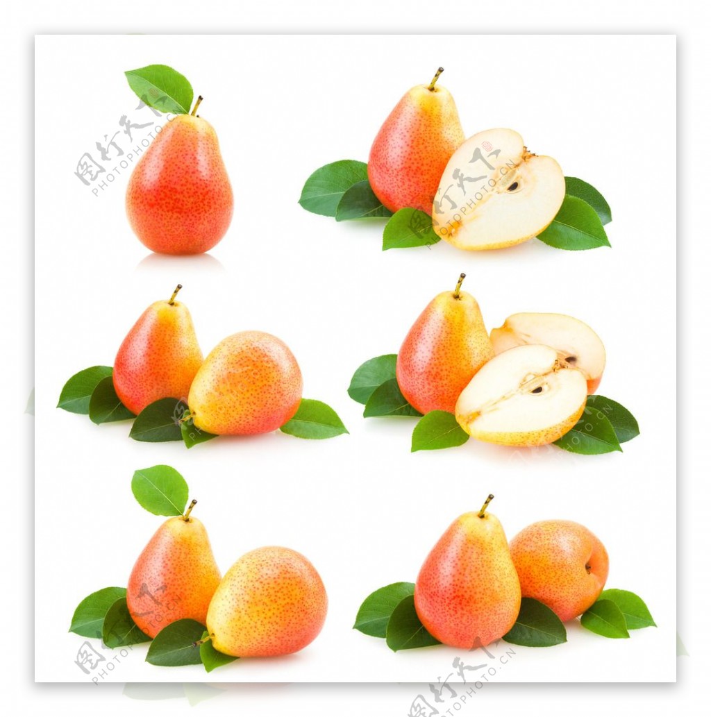 新鲜梨子水果图片素材-编号25140403-图行天下