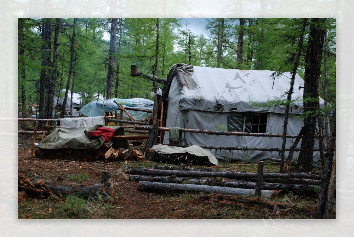 鄂温克猎民点的帐篷图片