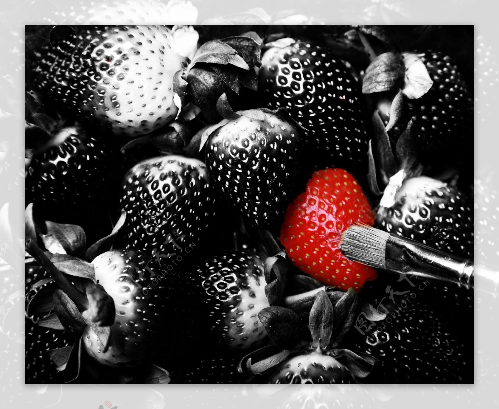 创意草莓图片