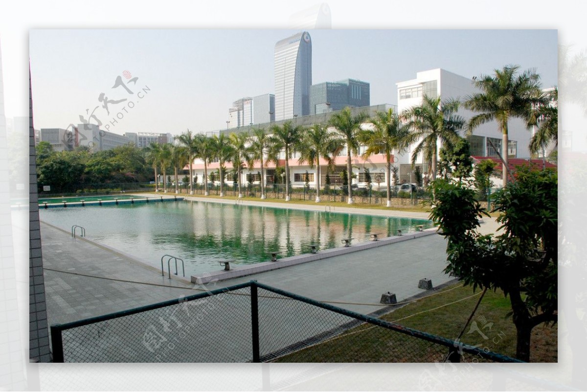 深圳大学游泳池图片