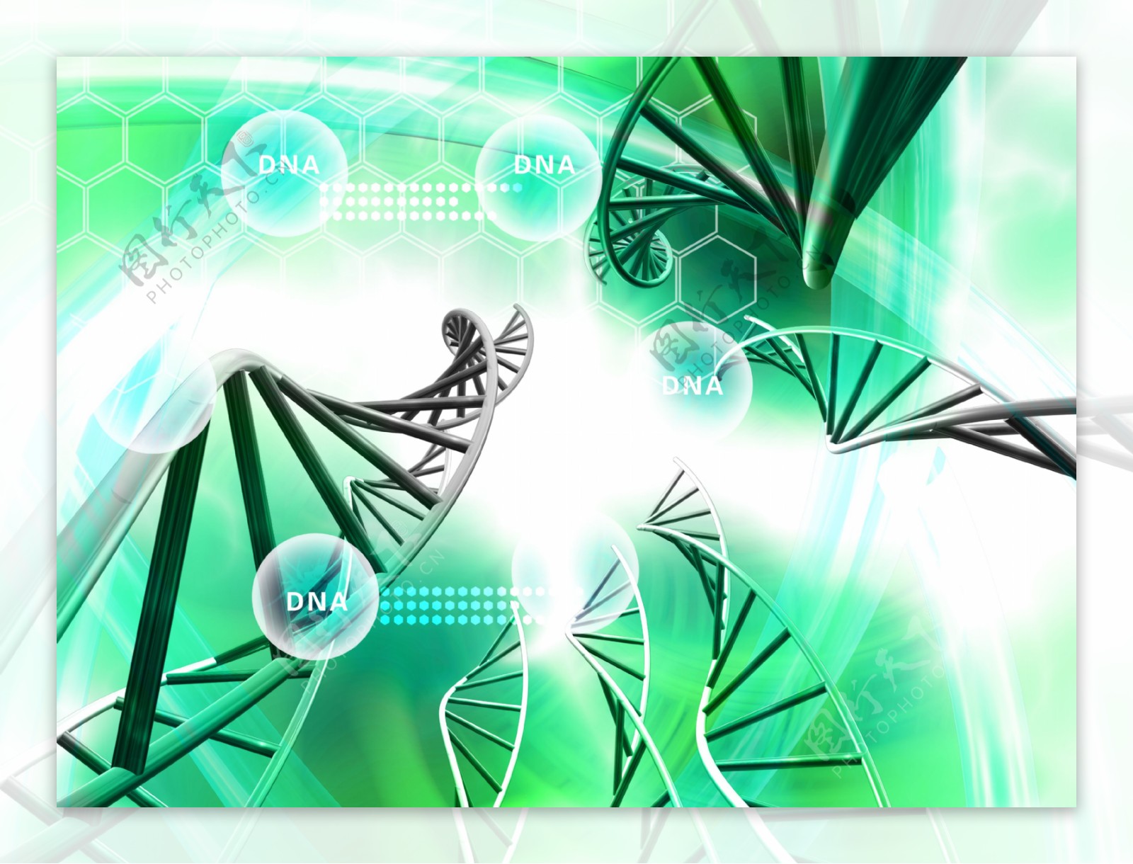 医疗研究之基因DNA实验图片