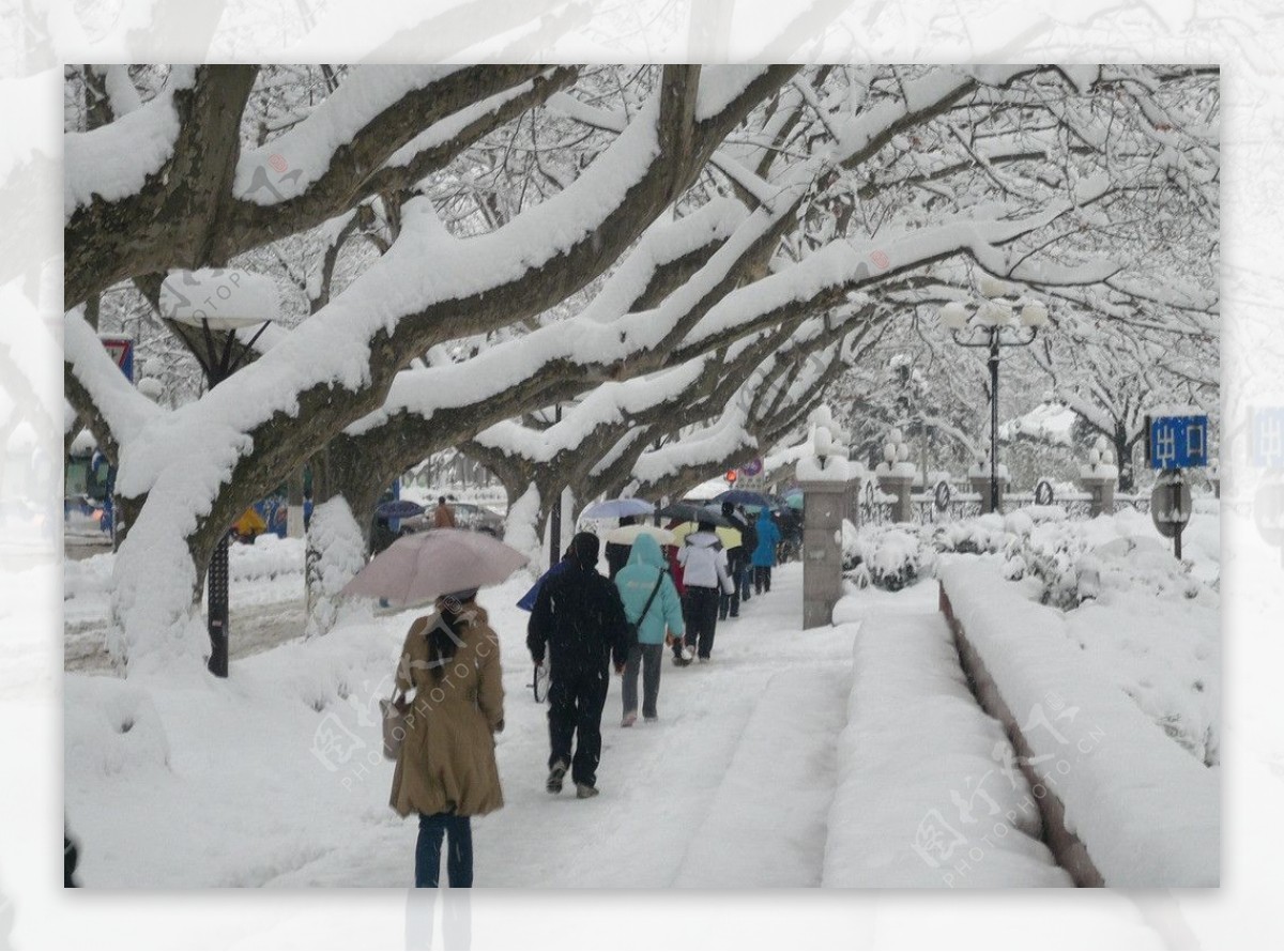 2008年那一场暴雪图片