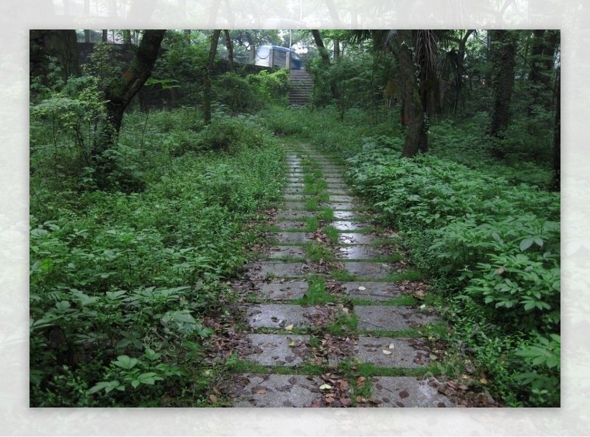 2009道路绿化优胜奖虎跑路及之江路沿线环境整治工程图片