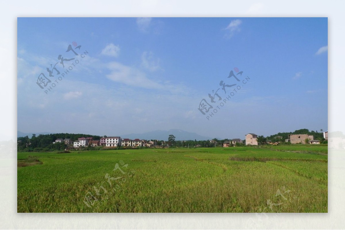中国新农村图片