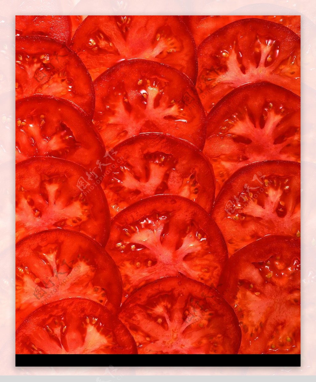 番茄剖面图图片