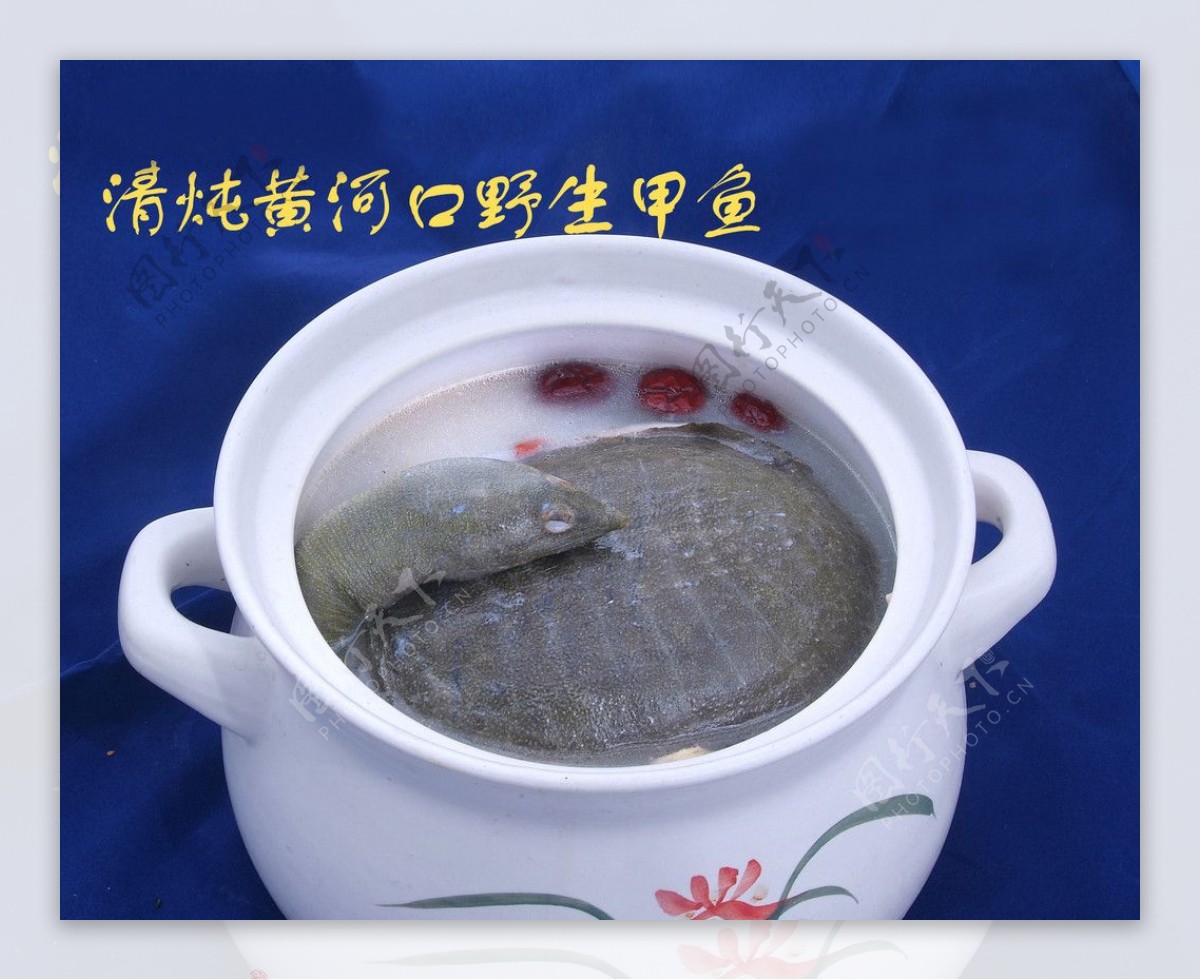清炖黄河口野生甲鱼图片