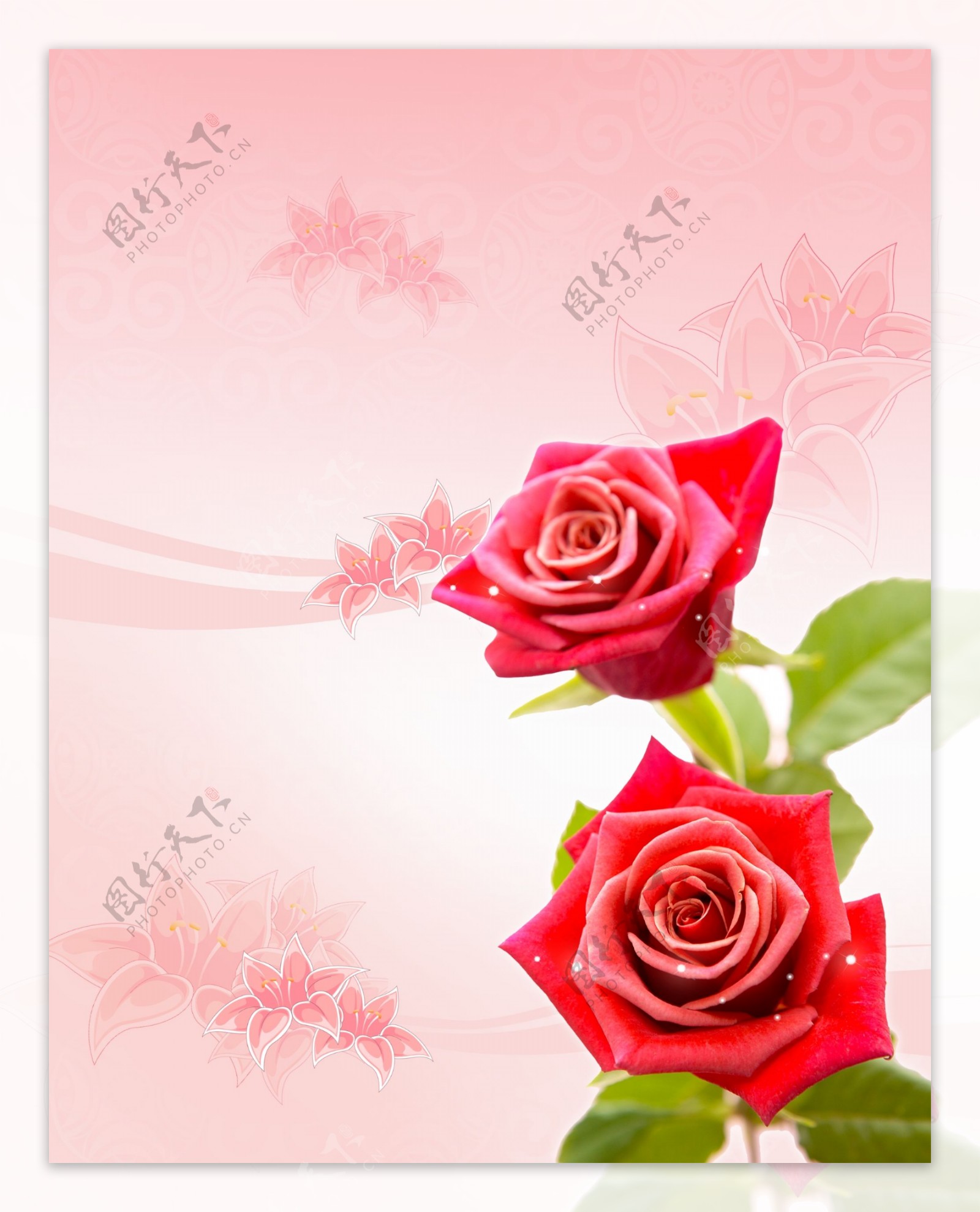 鲜红玫瑰花玻璃门图案图片