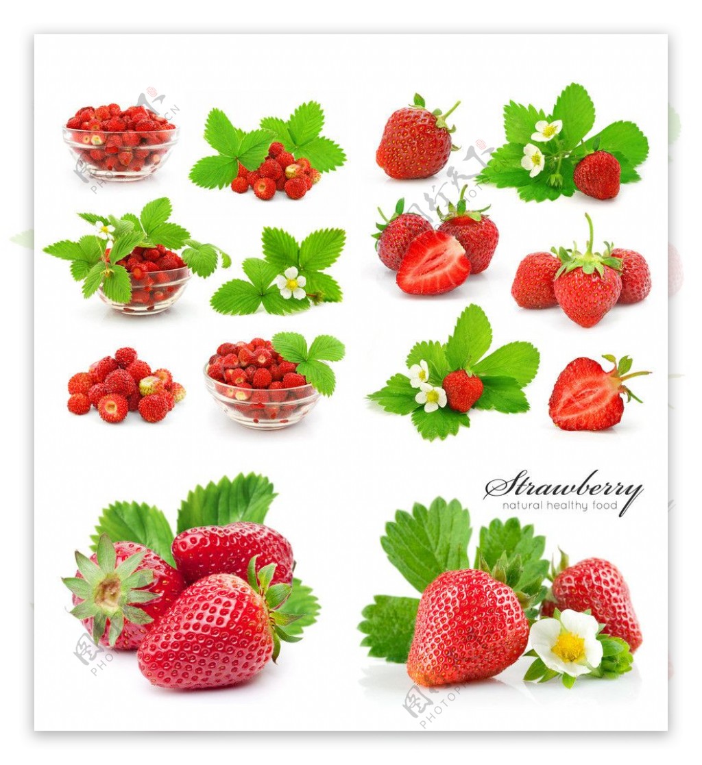 各种草莓大全图片