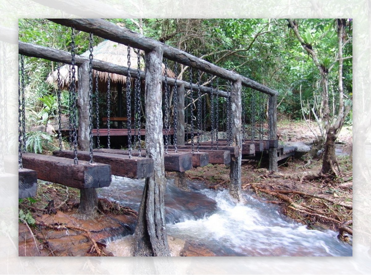 热带雨林外婆桥图片