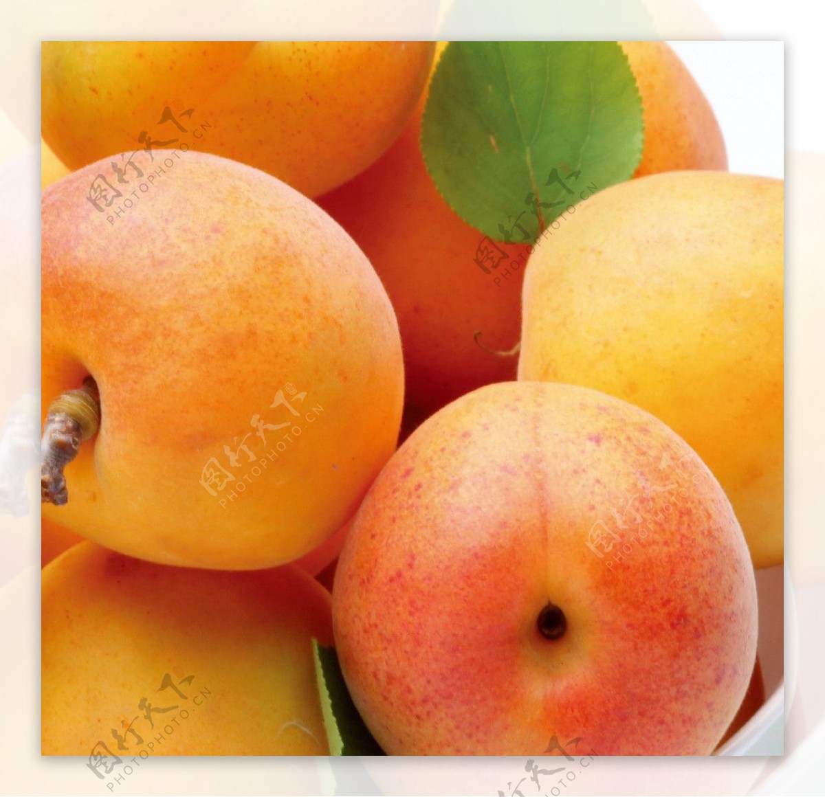 高清水果图桃子图片