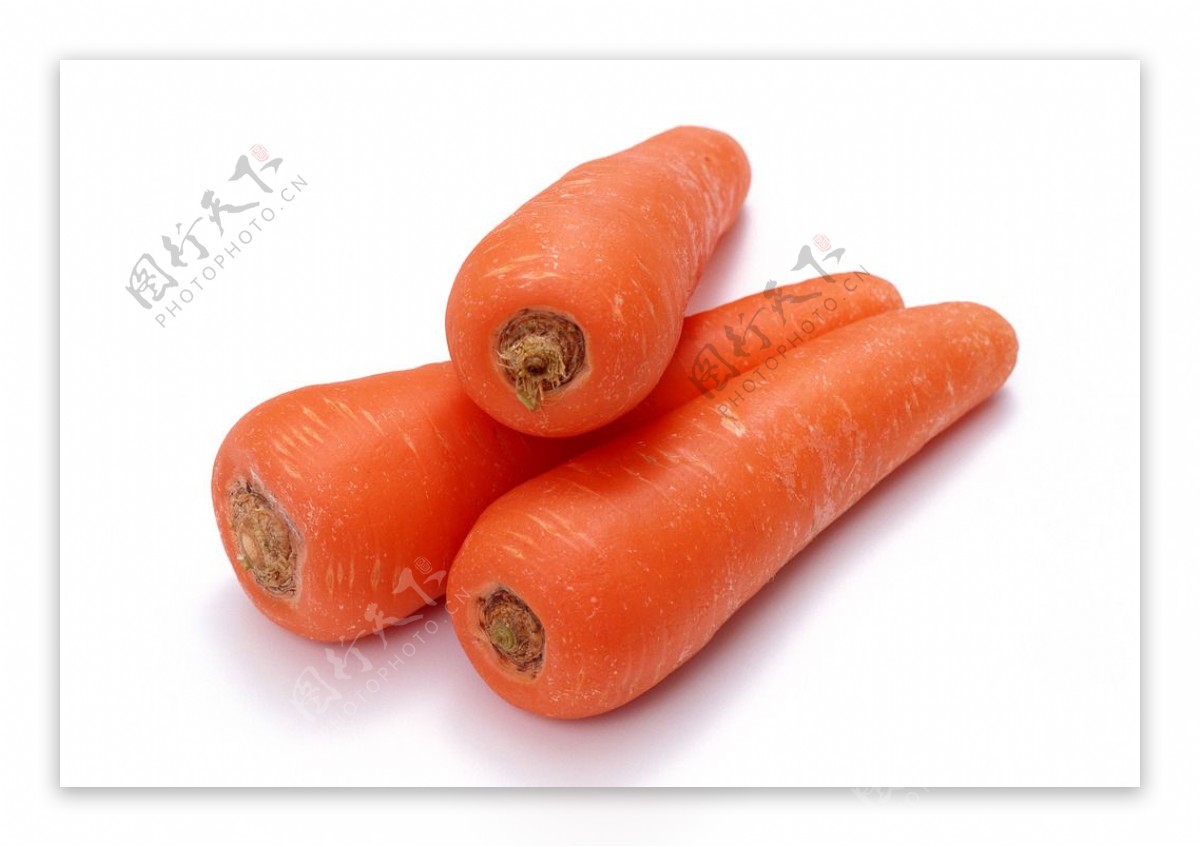 胡萝卜组图图片