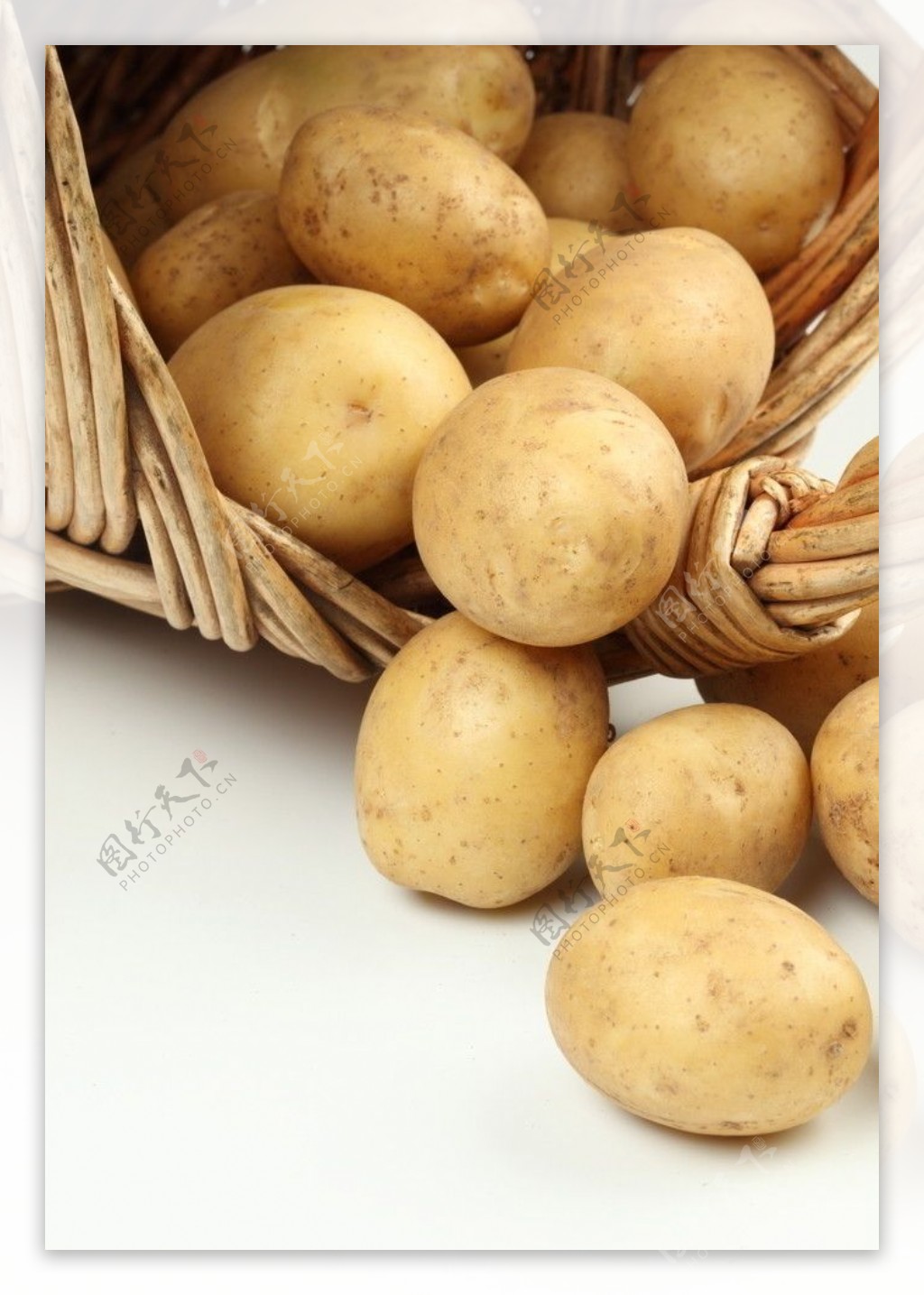 土豆马铃薯图片