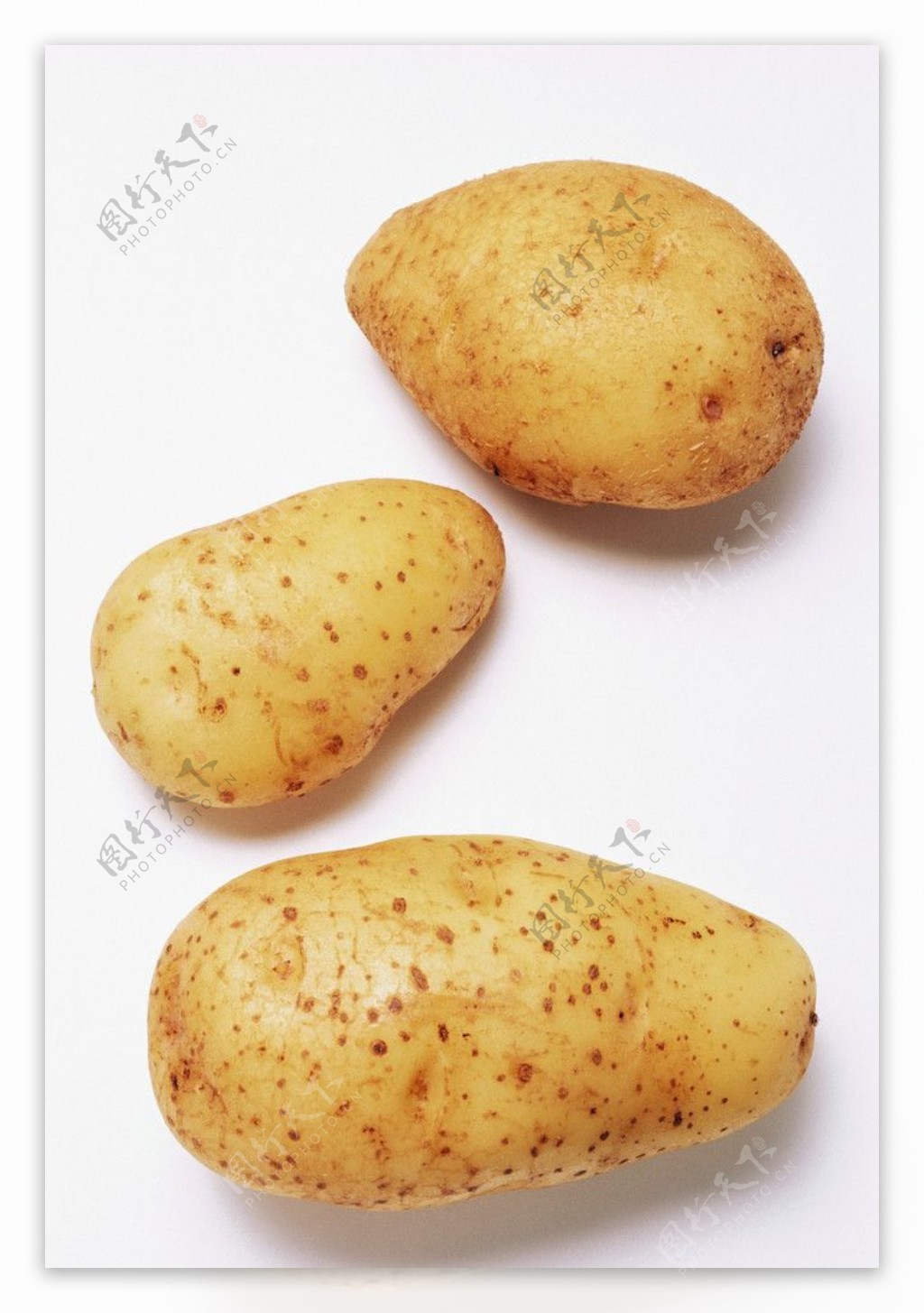 新鲜土豆图片素材-编号24775638-图行天下