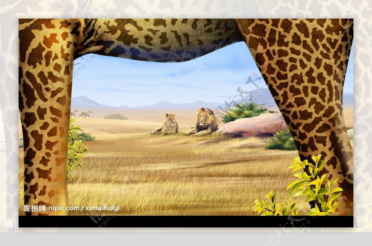 草原狮子长颈鹿图片