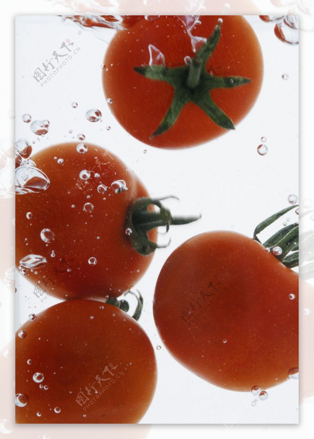 飞溅的番茄图片