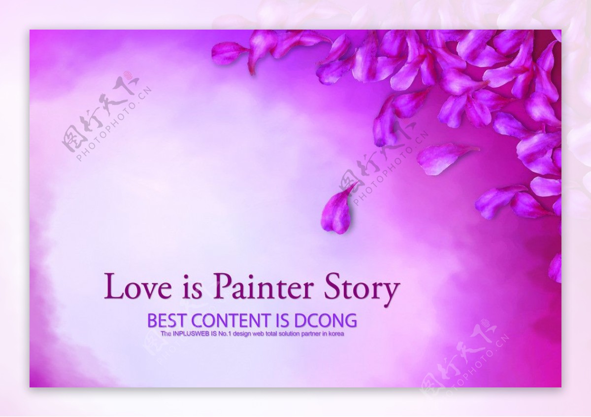 紫色花瓣相框图片