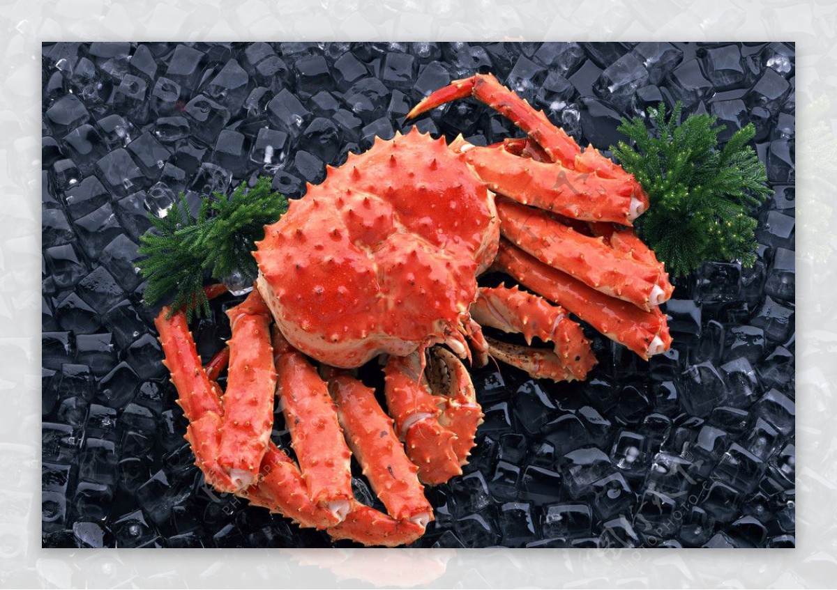 螃蟹新鲜海鲜海鲜素材图片