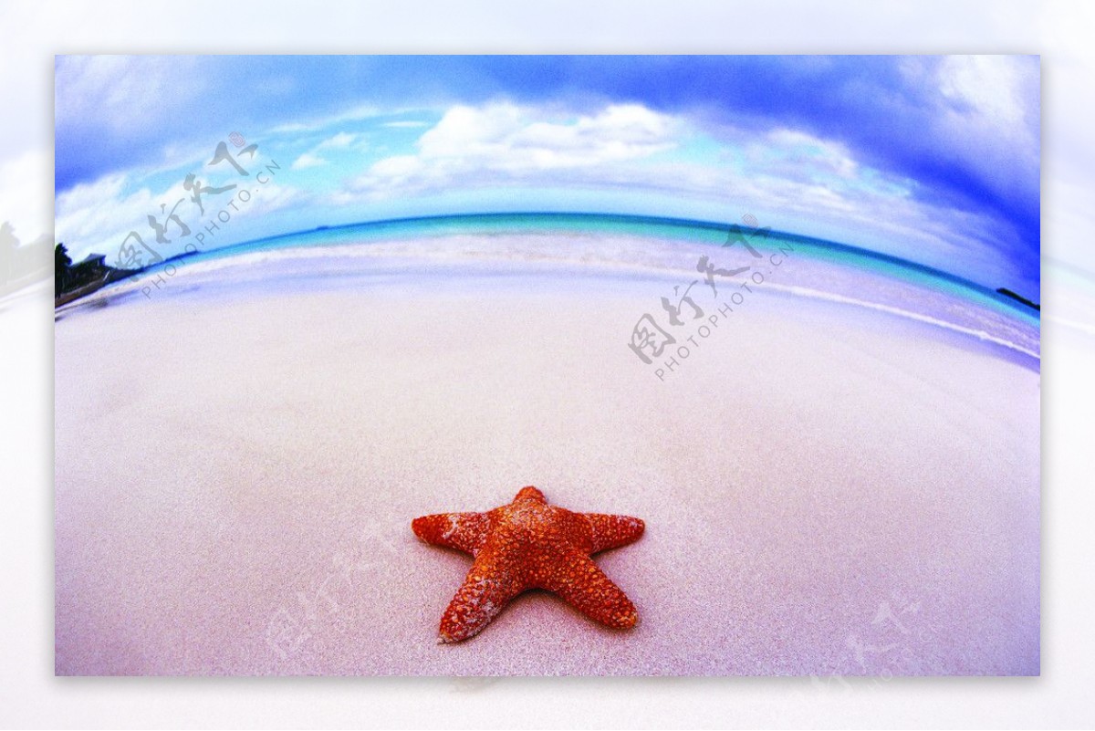 海滩沙滩上的海星图片下载 - 觅知网