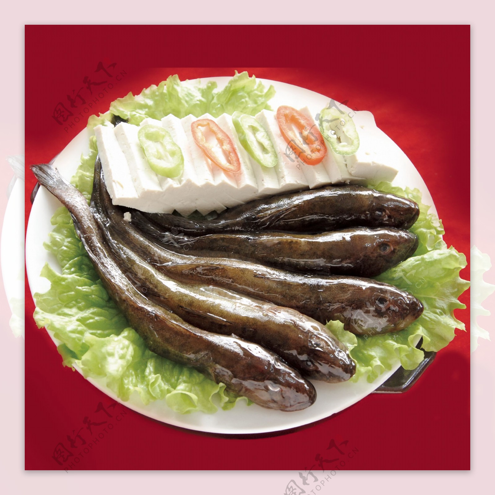 砂锅海鲶鱼豆腐图片