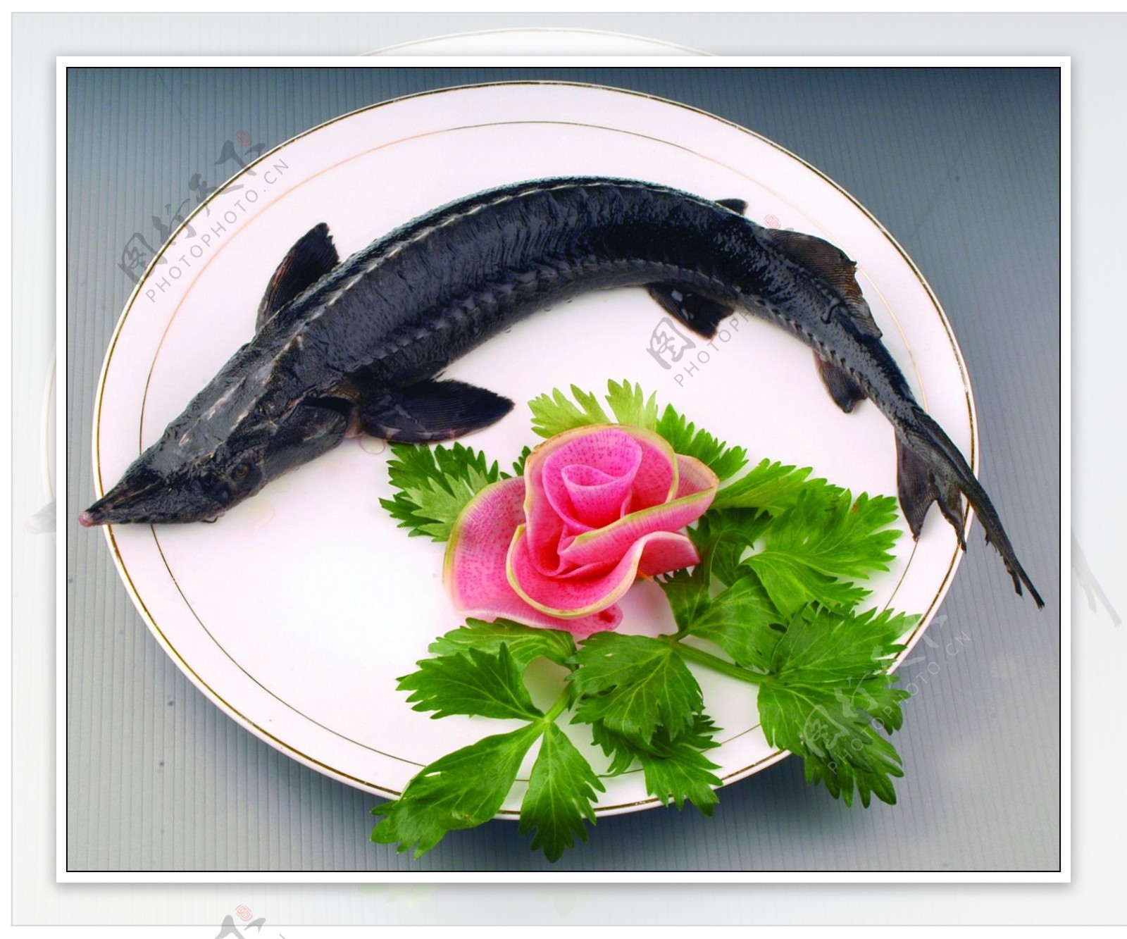 清蒸鲟鱼图片