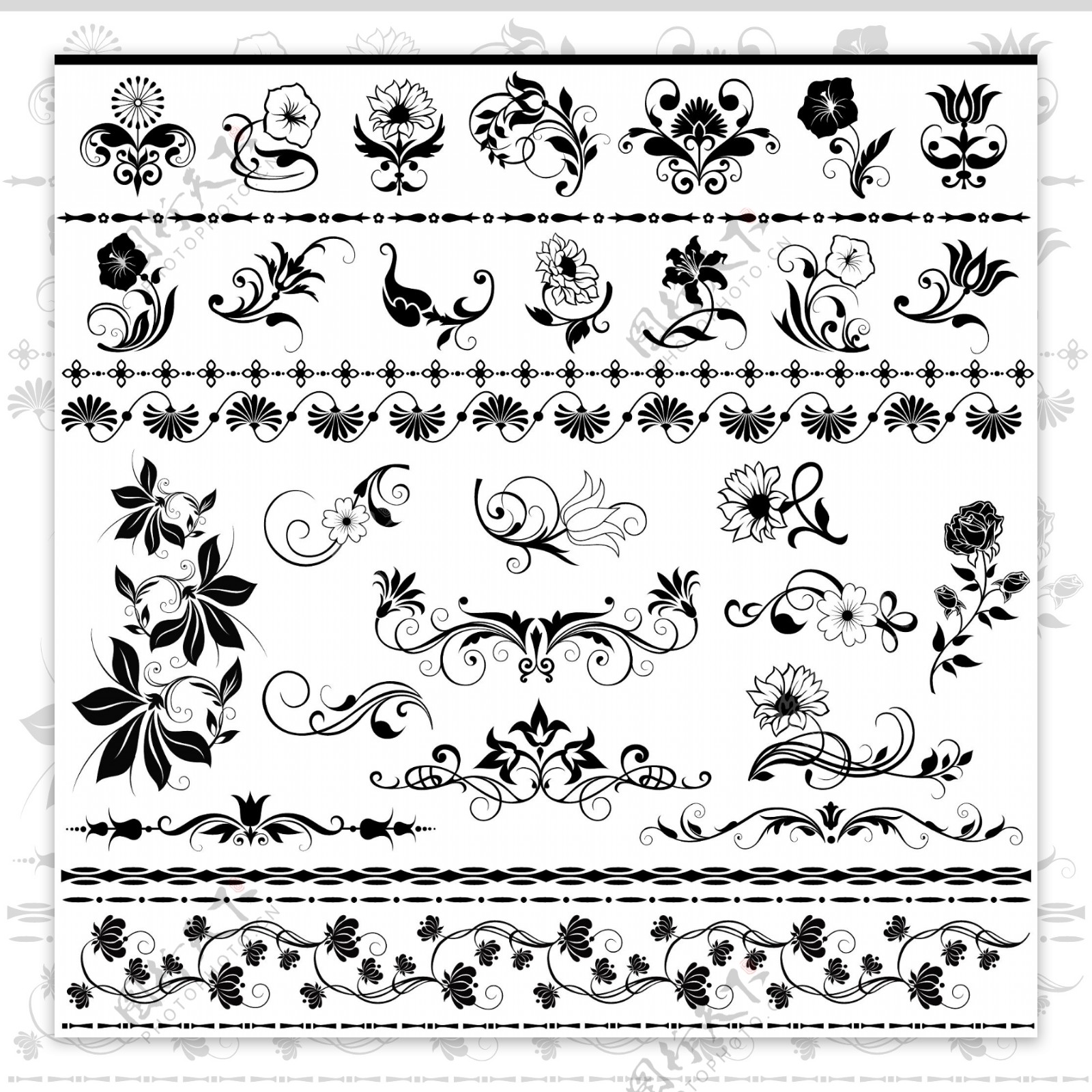 欧式古典简约植物花纹矢量素材图片