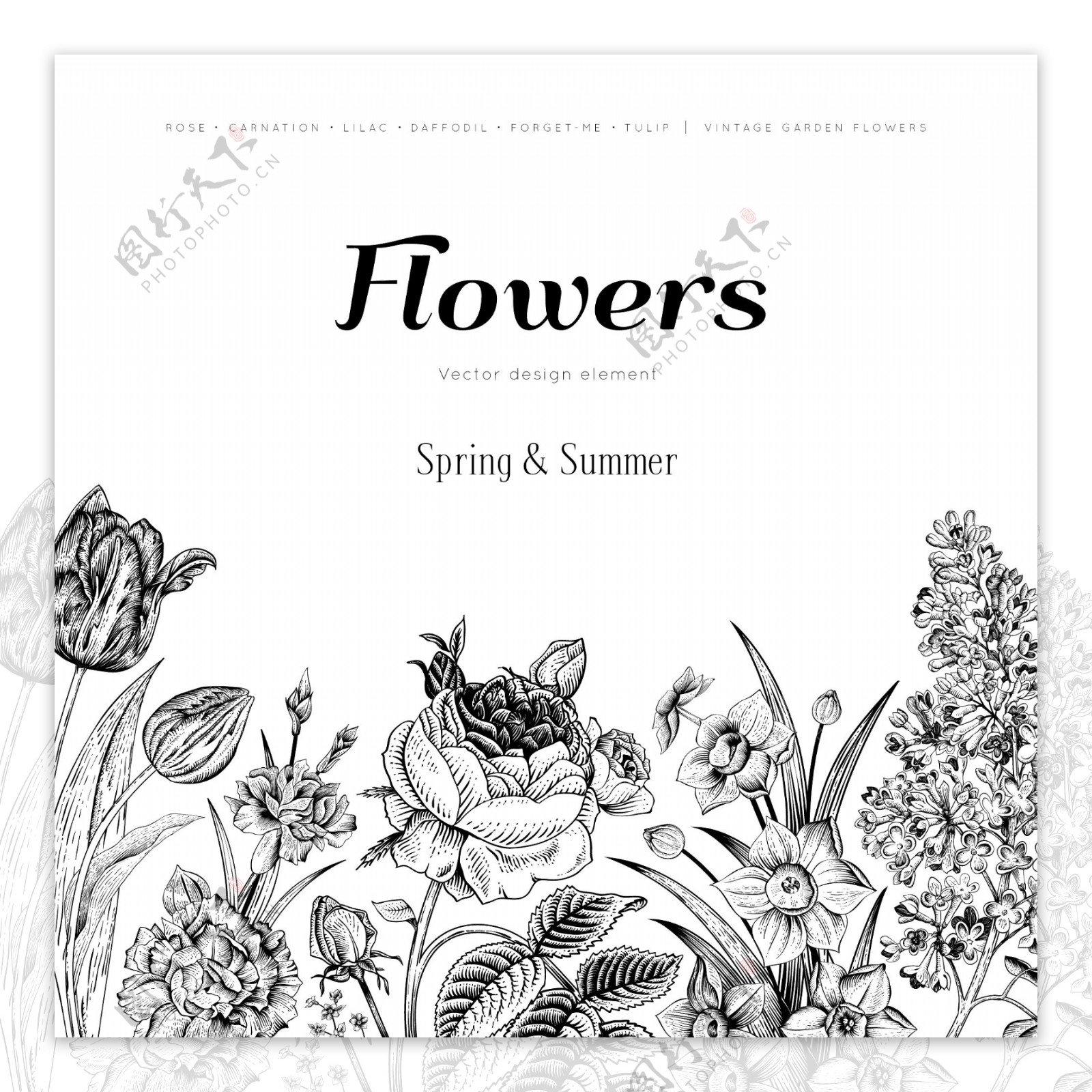 黑色手绘花卉背景矢量素材图片
