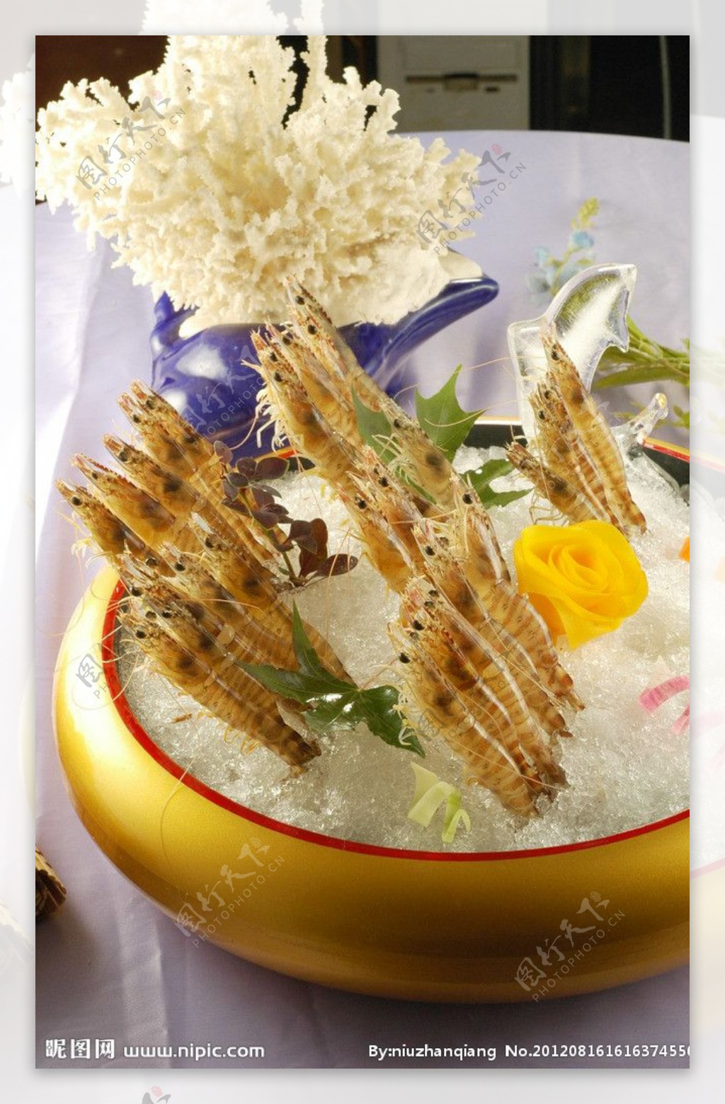 虾米图片