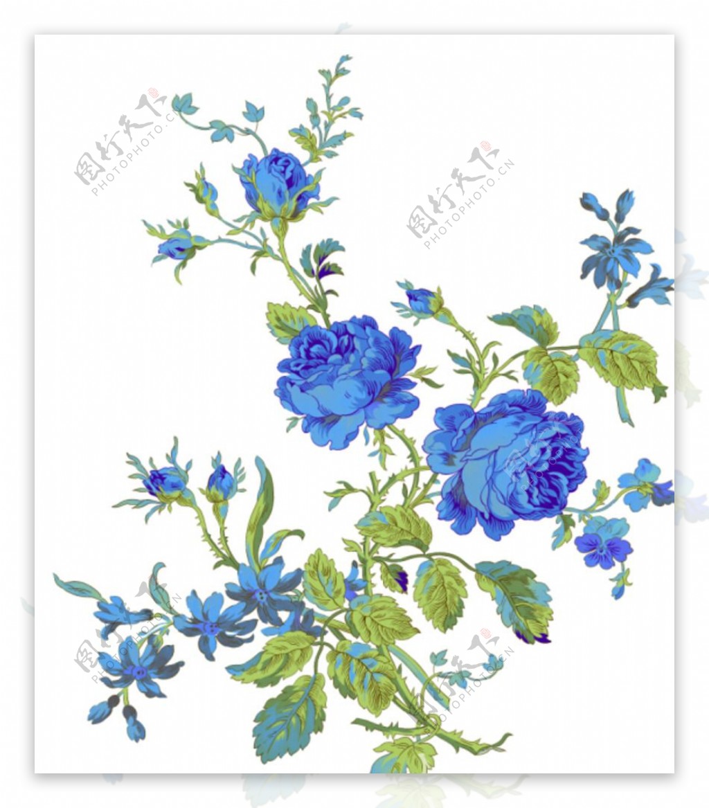 蓝玫瑰图片素材-编号16401188-图行天下