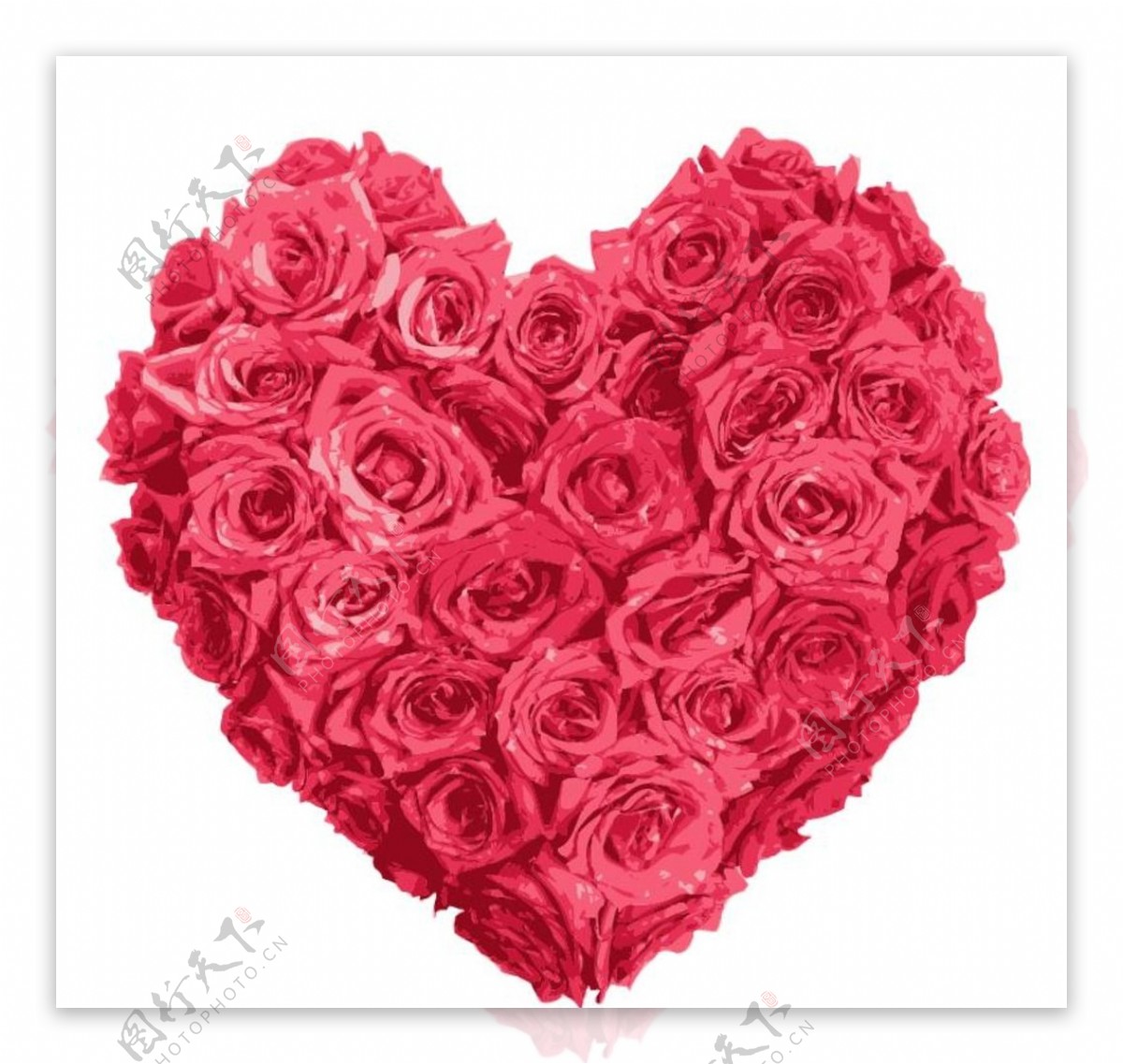 露珠玫瑰爱心图片素材-编号23828083-图行天下