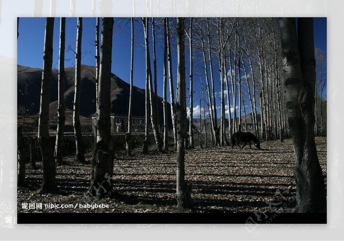 四川高原风景人物图片