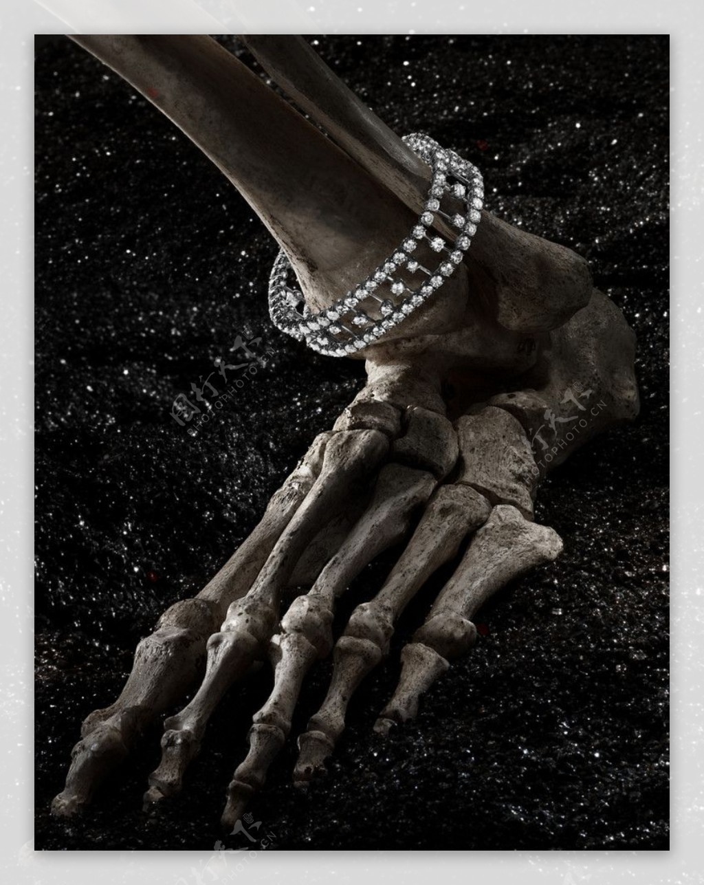 骷髅脚和钻石手镯图片